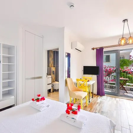 Sanisu Appartement *